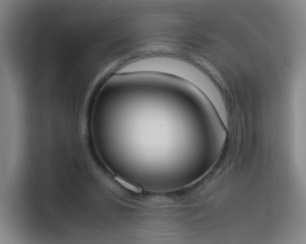 X0000113950399200910021510