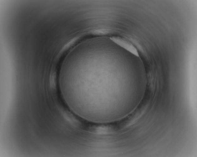 X0000113950400200910021510