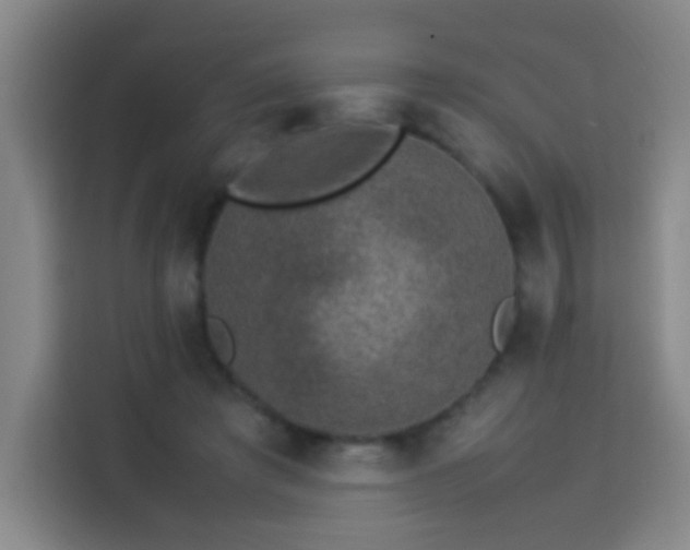 X0000113950401200910021510