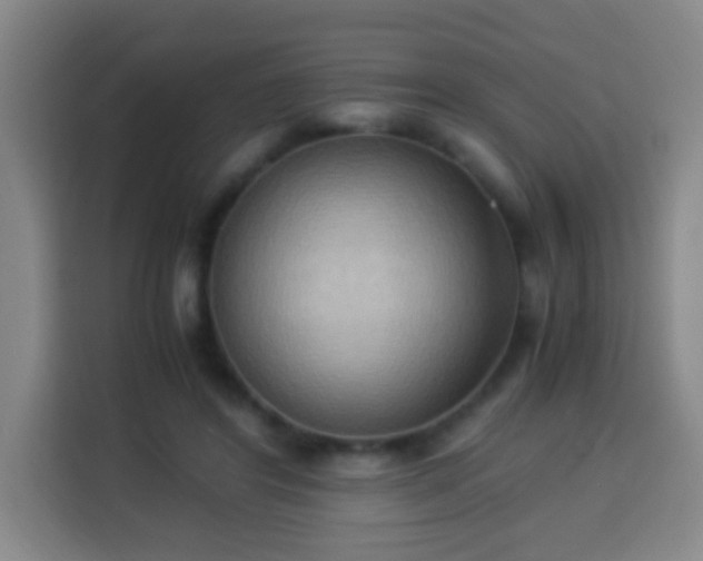X0000113950404200910021510