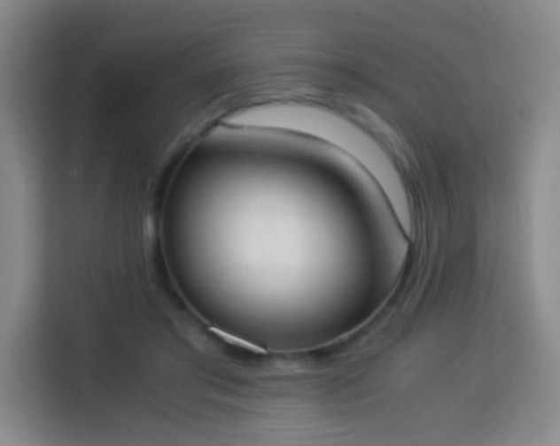 X0000113950405200910021510