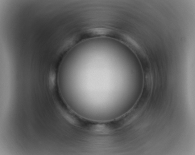 X0000113950406200910021510