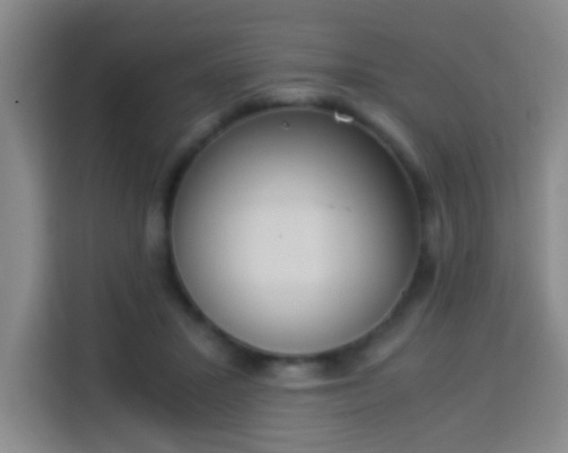 X0000113950407200910021510