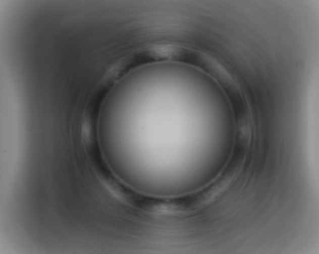 X0000113950408200910021510