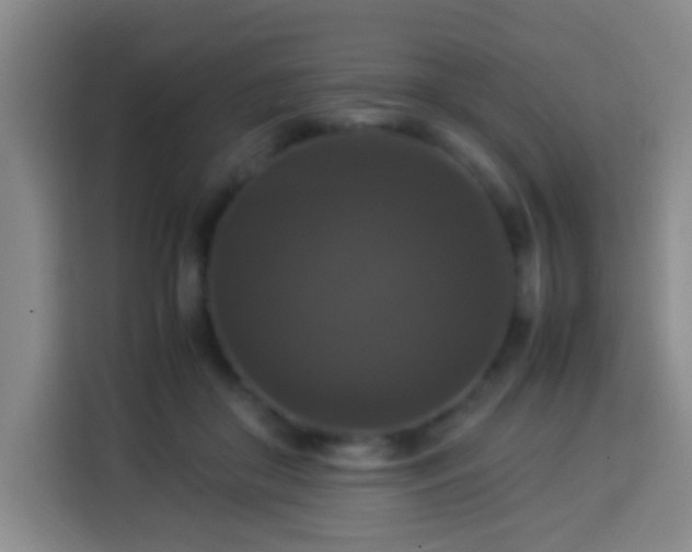 X0000113950410200910021510