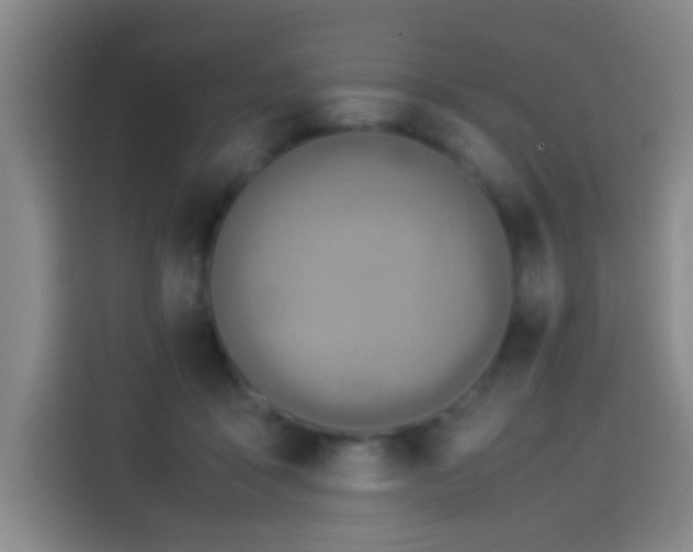 X0000113950411200910021510