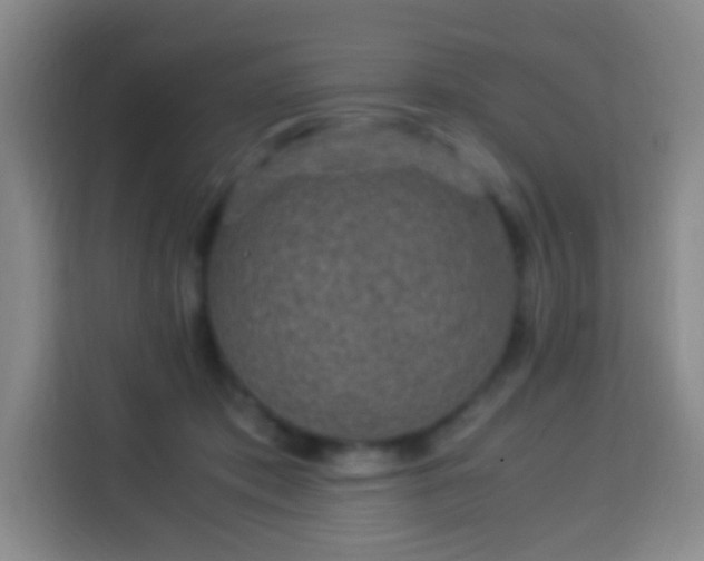 X0000113950413200910021510
