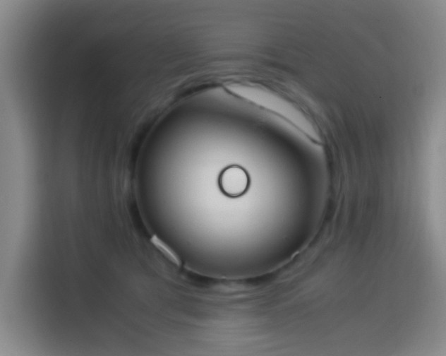 X0000113950417200910021509