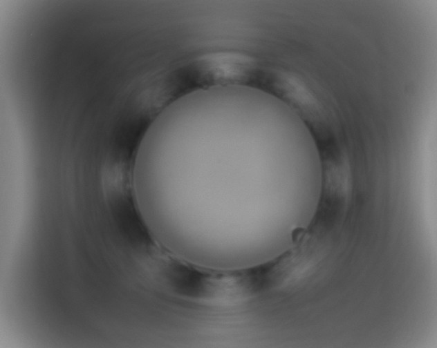X0000113950419200910021509