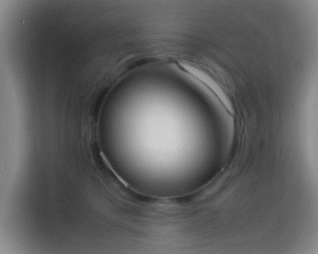 X0000113950421200910021509