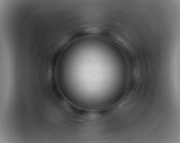 X0000113950424200910021509