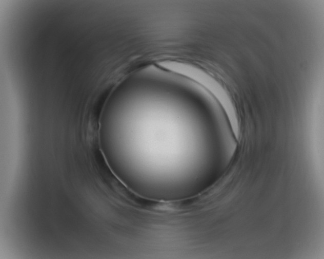 X0000113950425200910021509