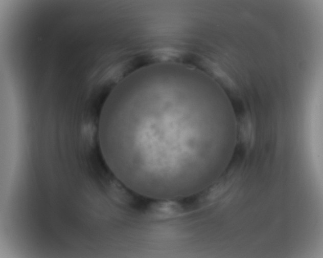 X0000113950427200910021509