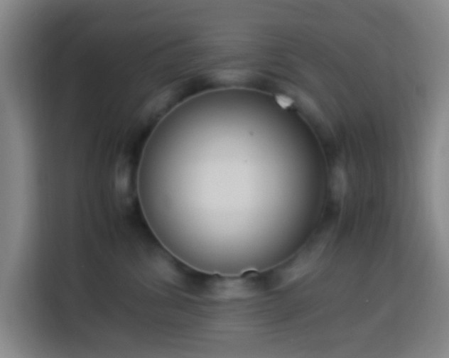X0000113950428200910021509