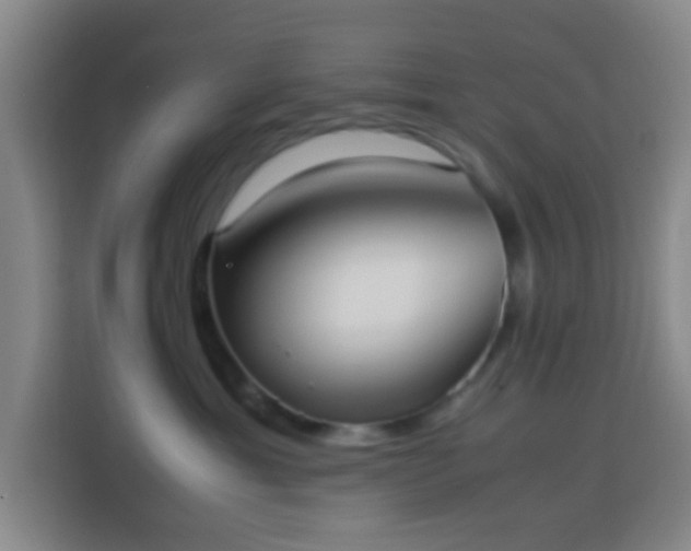 X0000113950429200910021509