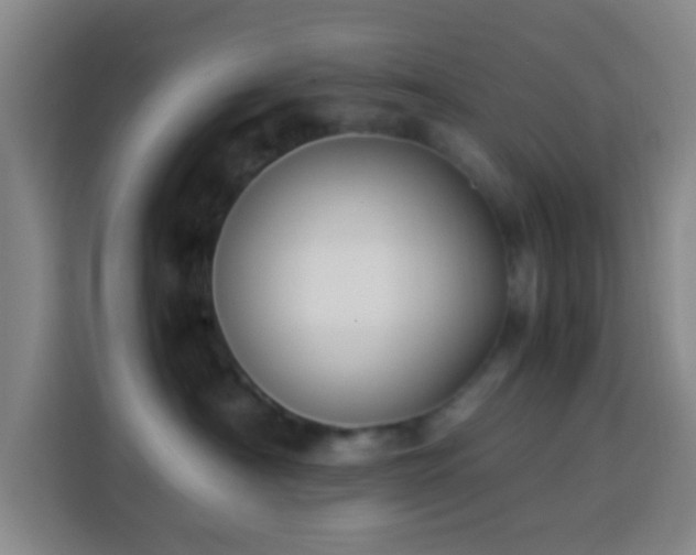 X0000113950430200910021509