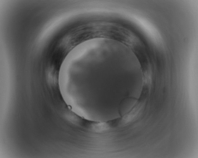 X0000113950431200910021509