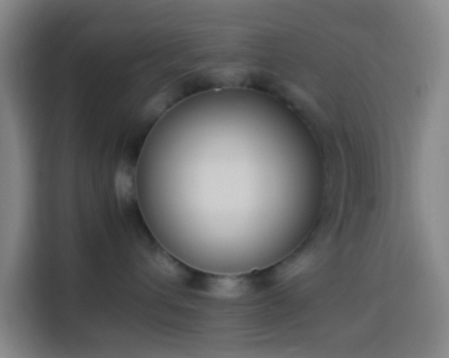 X0000113950432200910021509