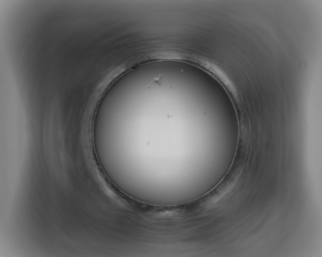 X0000113950433200910021509