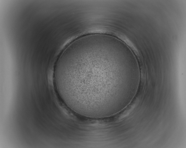 X0000113950434200910021509