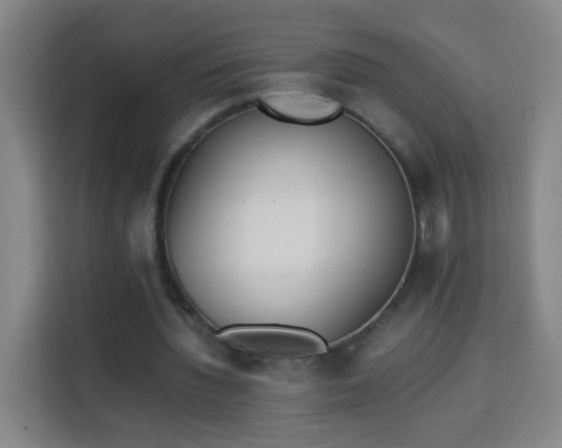 X0000113950436200910021509
