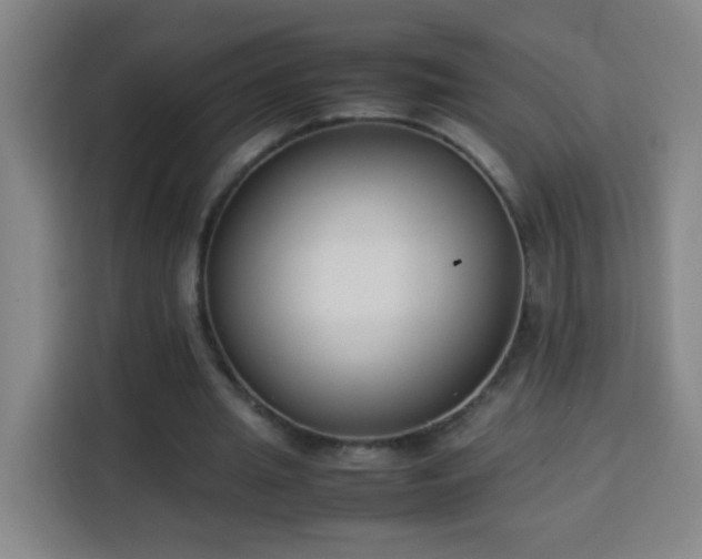X0000113950437200910021509