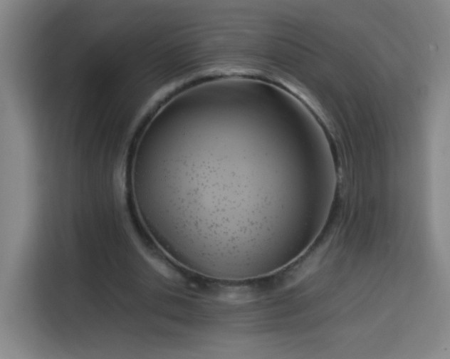 X0000113950438200910021509