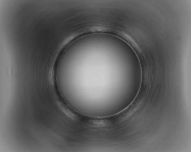 X0000113950439200910021509
