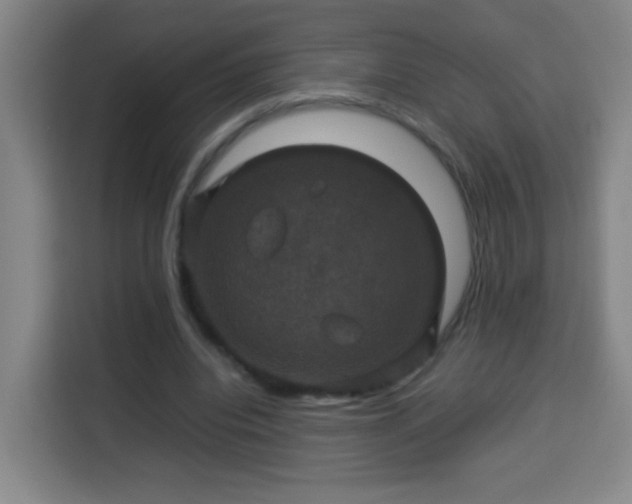 X0000113950440200910021509