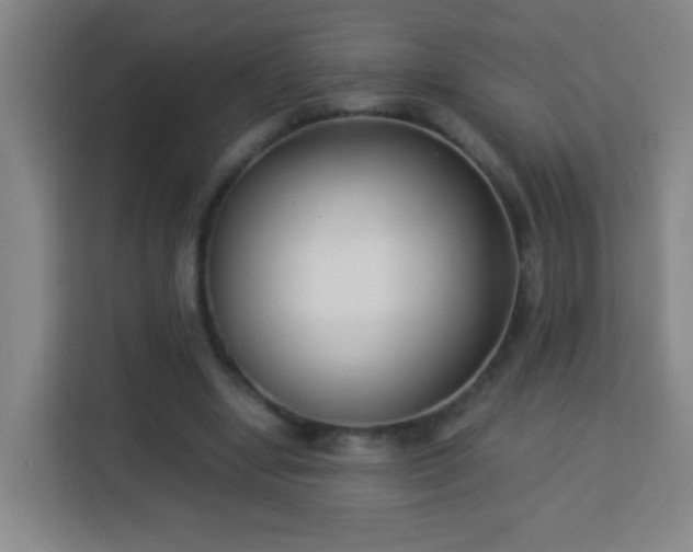 X0000113950442200910021509