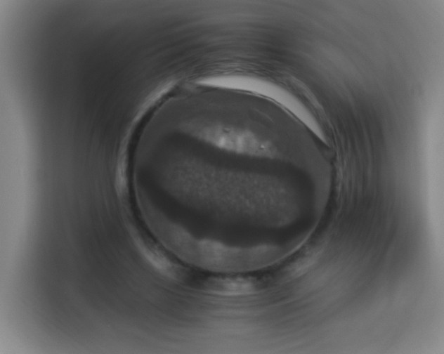 X0000113950443200910021509