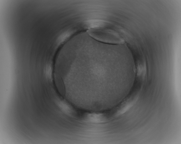 X0000113950444200910021509