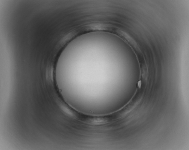 X0000113950445200910021509