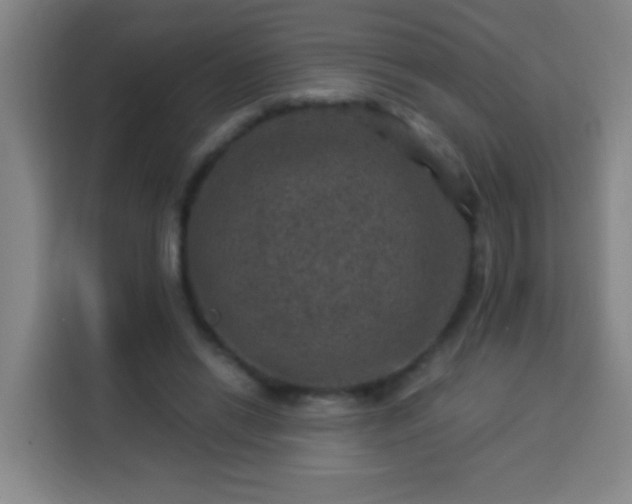 X0000113950446200910021509