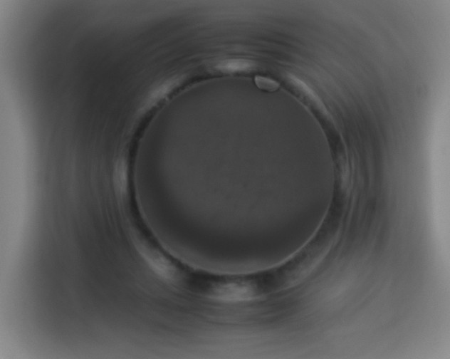 X0000113950447200910021509