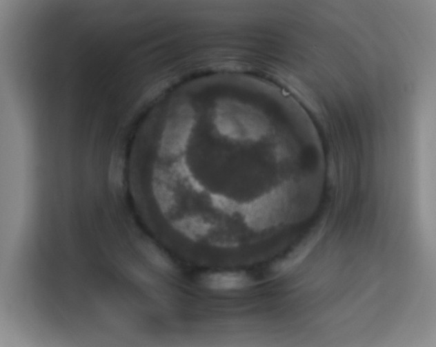 X0000113950449200910021509