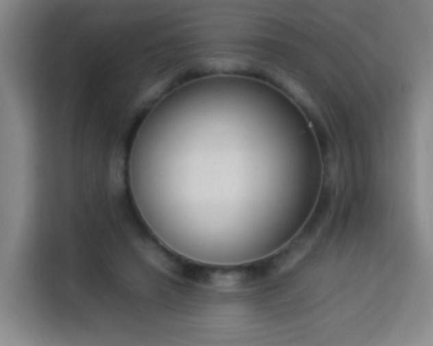 X0000113950450200910021509