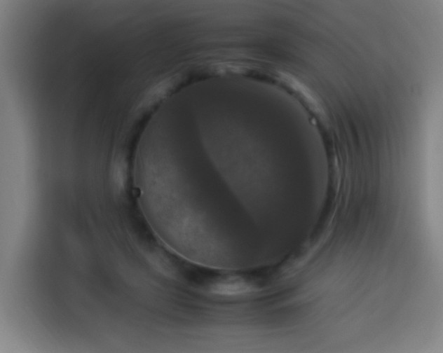 X0000113950451200910021509