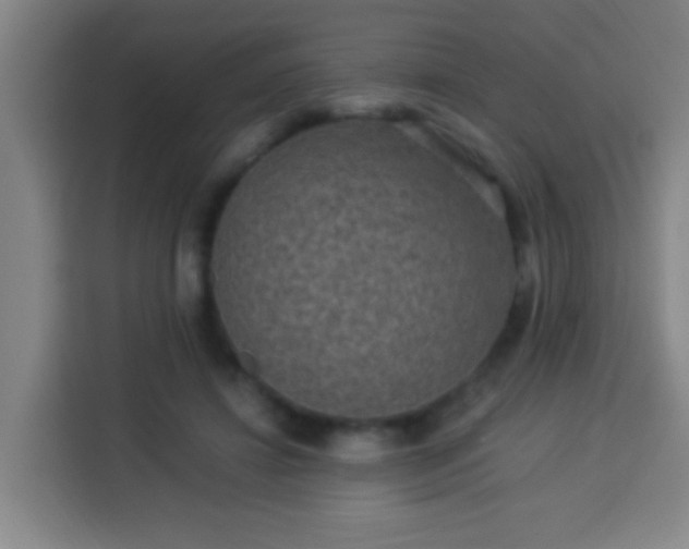 X0000113950452200910021509