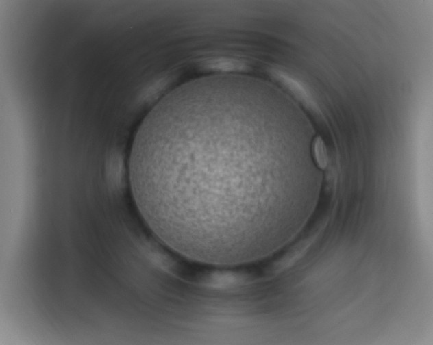 X0000113950453200910021509