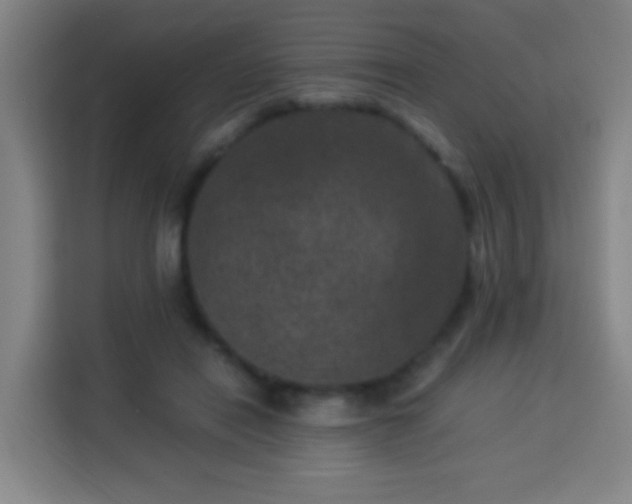 X0000113950454200910021509