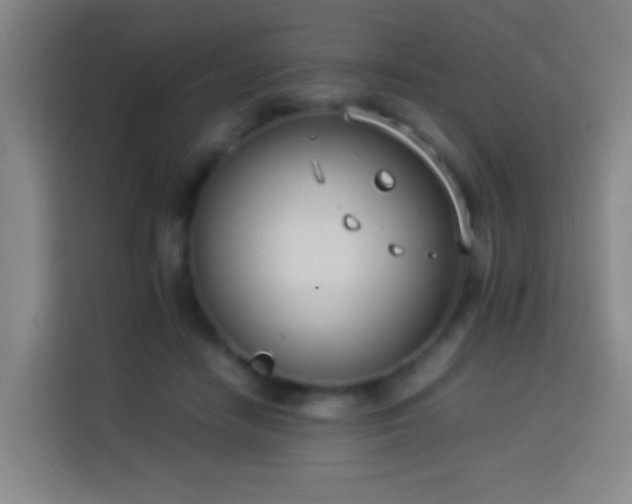 X0000113950458200910021509