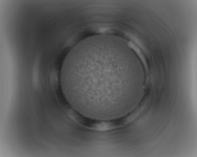 X0000113950461200910021509