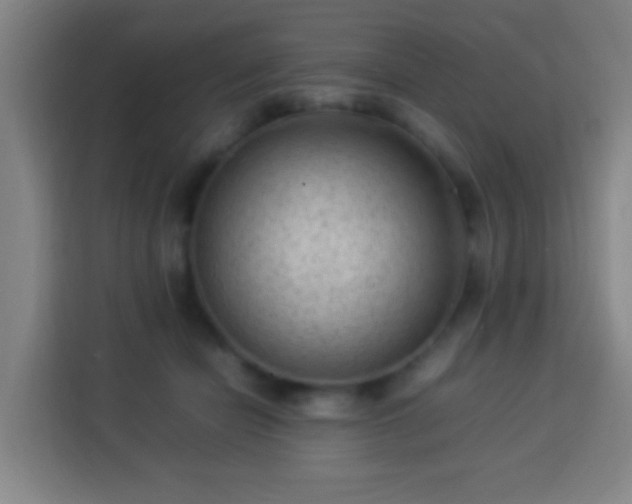 X0000113950462200910021509