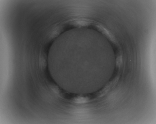 X0000113950464200910021509