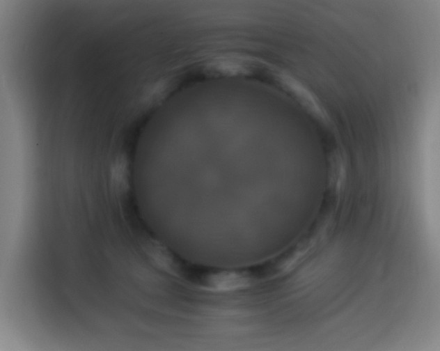 X0000113950465200910021509
