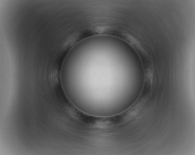 X0000113950470200910021509
