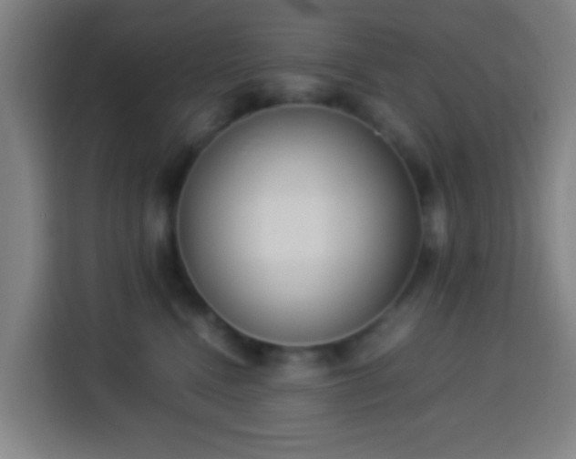 X0000113950472200910021509