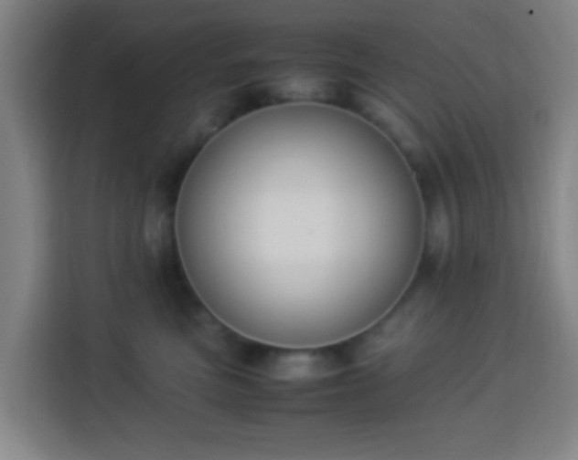 X0000113950473200910021509
