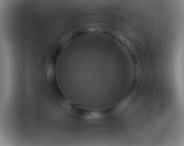 X0000113950475200910021509